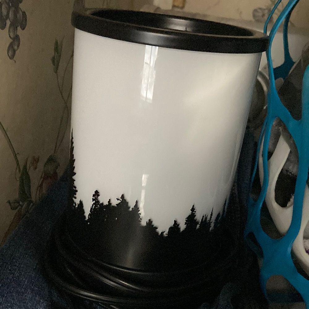 Scentsy wax warmer